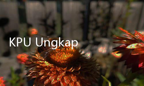 KPU Ungkap Penetapan DPT di Malaysia Dilakukan sejak Juli 2023